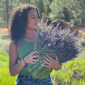 The Process Of Harvesting & Distilling lavender. You Need To Visit Lavineyard Farms This Summer!