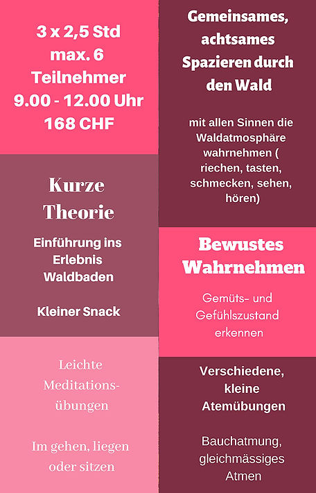 shinrinyoku-programm.jpg