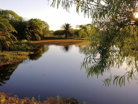 Las Áreas Protegidas, protegiendo la Naturaleza y potenciando el Turismo