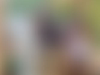 #527 Maureen & Terry Manocchio Well