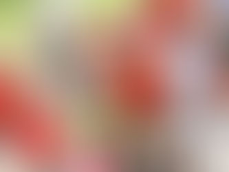 #403 Lane Family Well