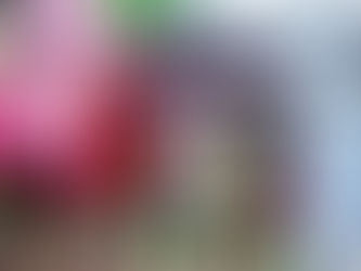 R047 Team Kruebbe 2020 #2