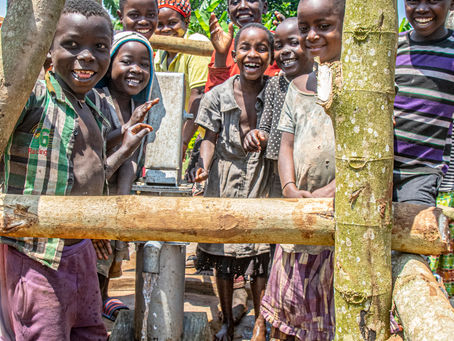 R025 Sisters of the Holy Faith Ireland Well #2