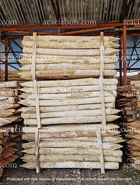 Acacia Round Posts 2.5m 14-16cm.jpg