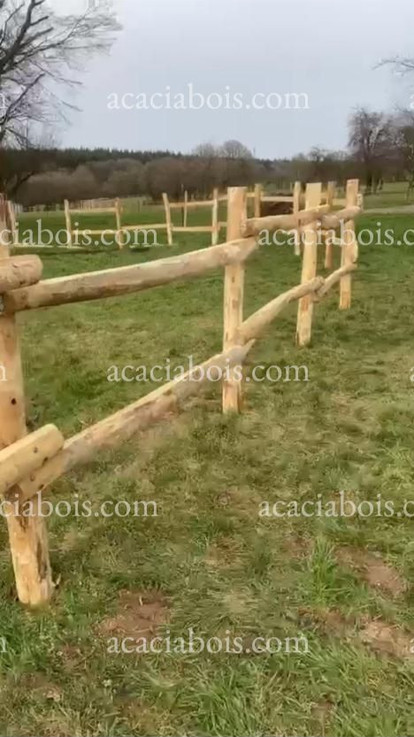 Liggers robinia_edited.jpg