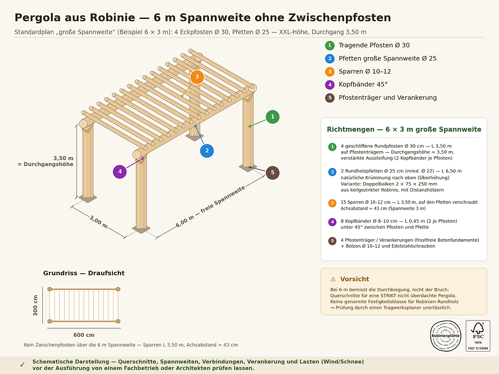 Plan einer Pergola aus Robinie mit 6 Metern freier Spannweite ohne Zwischenpfosten, Rundholzpfetten Ø 25 cm