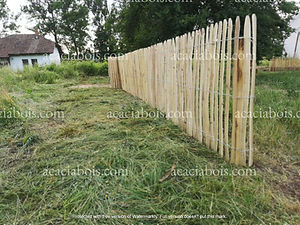 Ganivelle en acacia en bordure de prairie