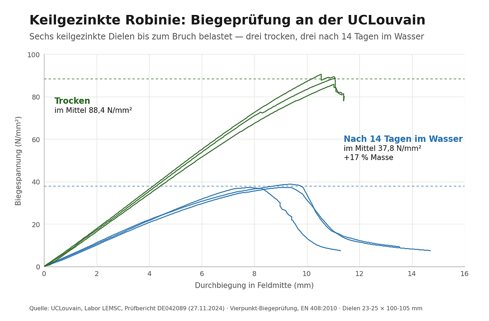 Diagramm der Biegeversuche nach EN 408 an keilgezinkter Robinie von Acacia Bois an der UCLouvain, Spannungs-Durchbiegungs-Kurven trocken und nach Wasserlagerung