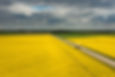 AdobeStock_473038421.jpeg