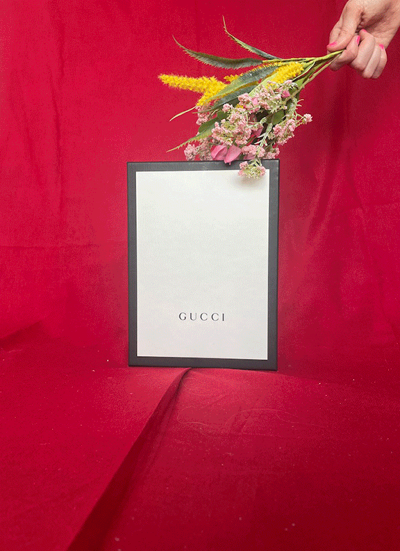 BAlderman_MICROMOVIE gif 3 final.gif