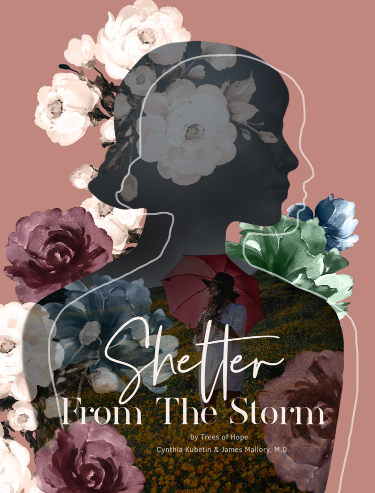 Shelter From The Storm: Healing Study for Women (Box of Hope Edition)