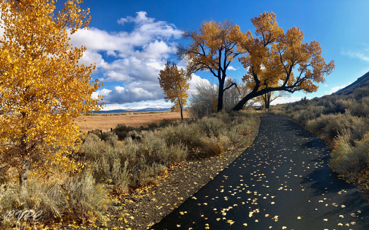 Carol Heinricy - Genoa Trail