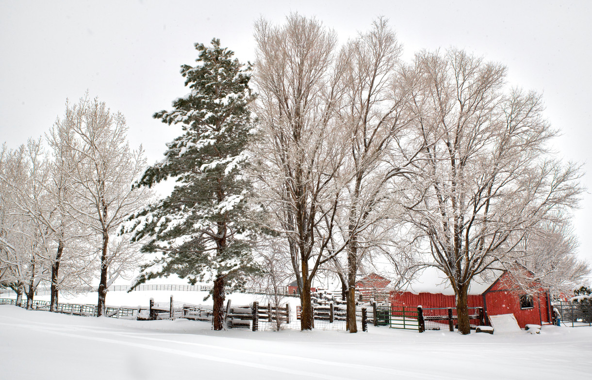Vivian Powers - Snowy Barn.jpeg