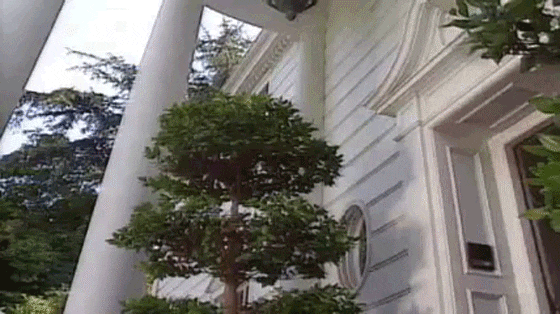 jazz.gif