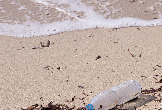 Trash on Beach