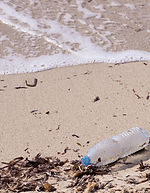 Trash on Beach
