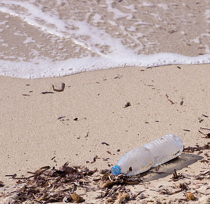 Trash on Beach
