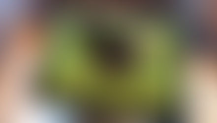 夏季休業のお知らせ