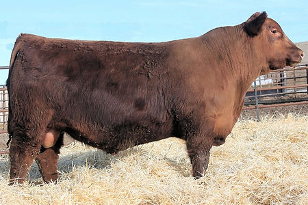 FritzMonument 618G.jpg