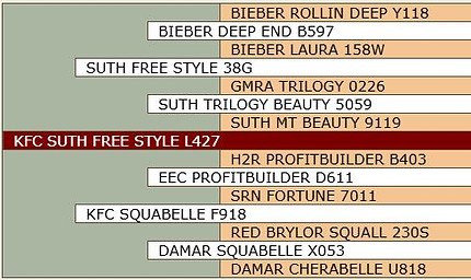 KFC Suth Free Style L427.JPG