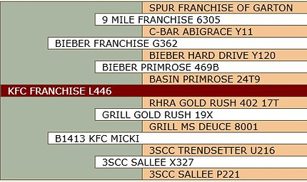 KFC Franchise L446.JPG