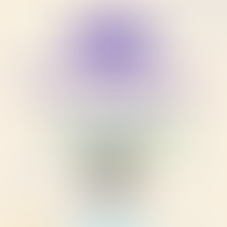 Roller Skating in Leeds - What's On - Winter 2025-2026