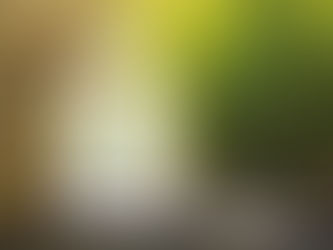 How Do I Prepare My Home to be more Energy-Efficient?