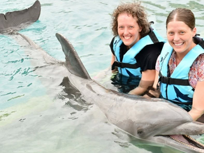 Dayton Daily News Highlights our 500th Wish Recipient