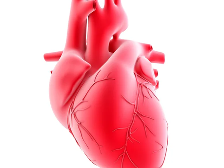 Sì, si può morire di “cuore spezzato” in amore: lo dice la scienza