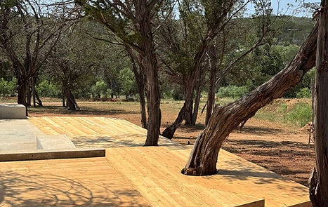 Image of deck wrapped around oak trees with percision cutting