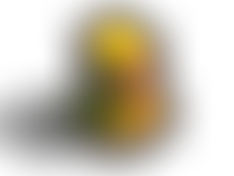 Estruturas da Arca de Osiris