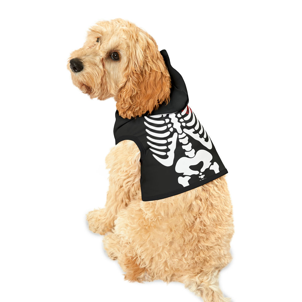 Thumbnail: Skeleton Pet Hoodie
