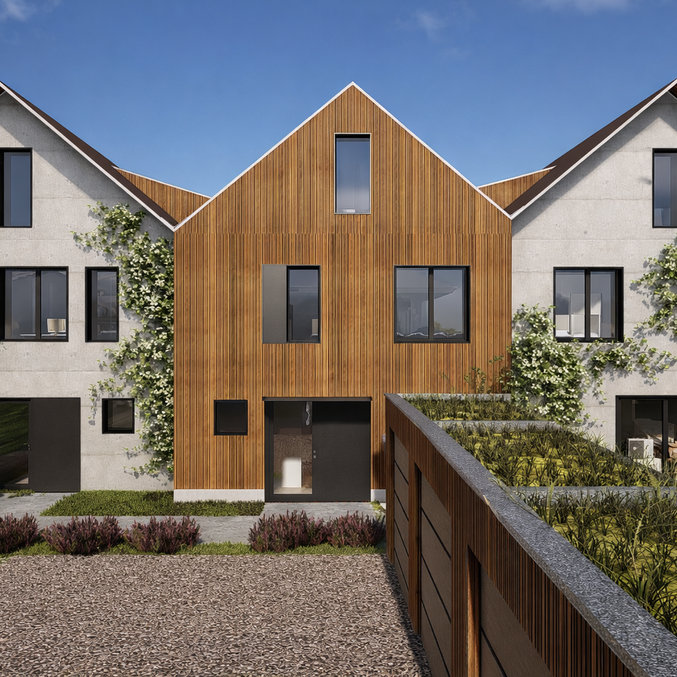 vue EST maison quartier maraichers Colmar villa TRIPTYQUE TONIUTTI Promotion