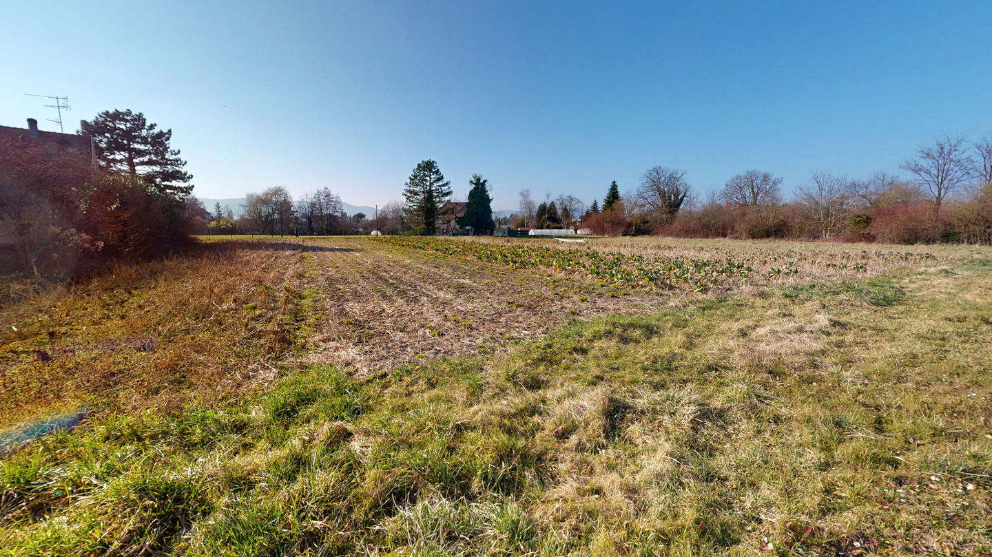 Terrain construction quartier maraichers Colmar sud - Toniutti promotion Colmar - vue terrain