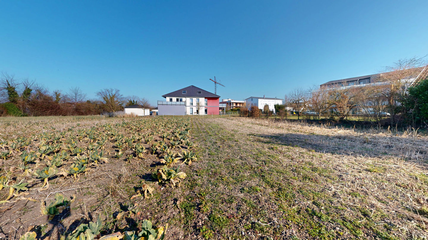 Terrain construction quartier maraichers Colmar sud - Toniutti promotion Colmar - vue terrain