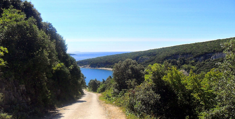 Road to Kalavojna Bay