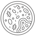 Inserir um tÃtulo(13).png