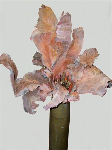 WAR FLOWER: EXPLODED