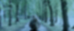 11 (18)_edited.jpg