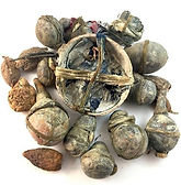 Fetish(es) - Ftsh. 100