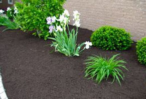 Black Mulch
