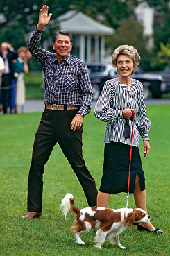 Google Image