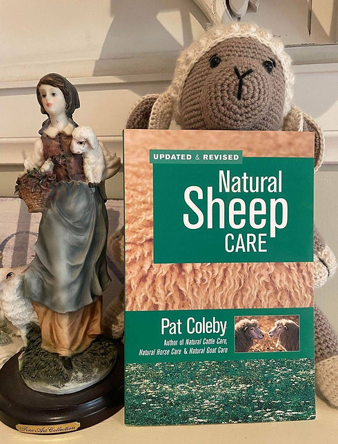 Book Natural Seep Care by Pat Coleby