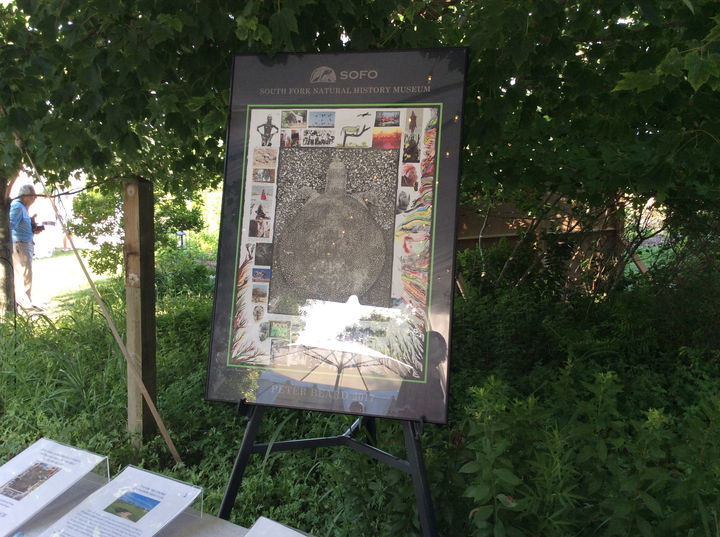 sofo auction item.JPG