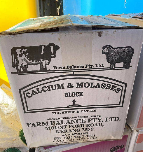 Calcium and Molasses block