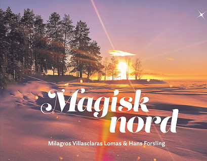 Magisk Nord.jpg