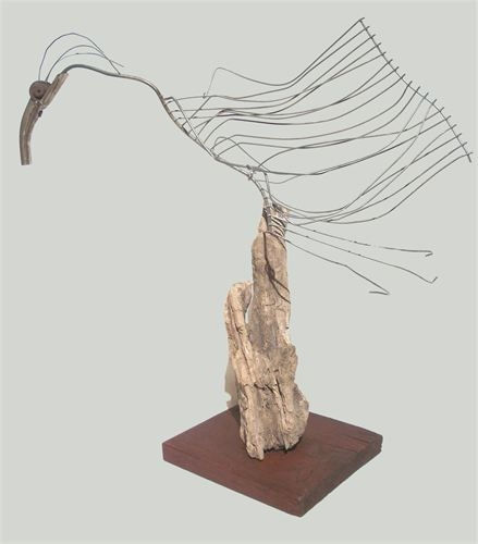 BIRD IN MOTION