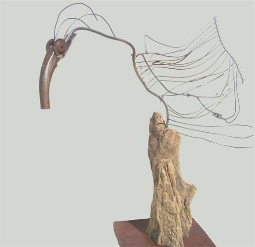BIRD IN MOTION