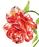 original (2).png