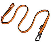 Bungee Leash